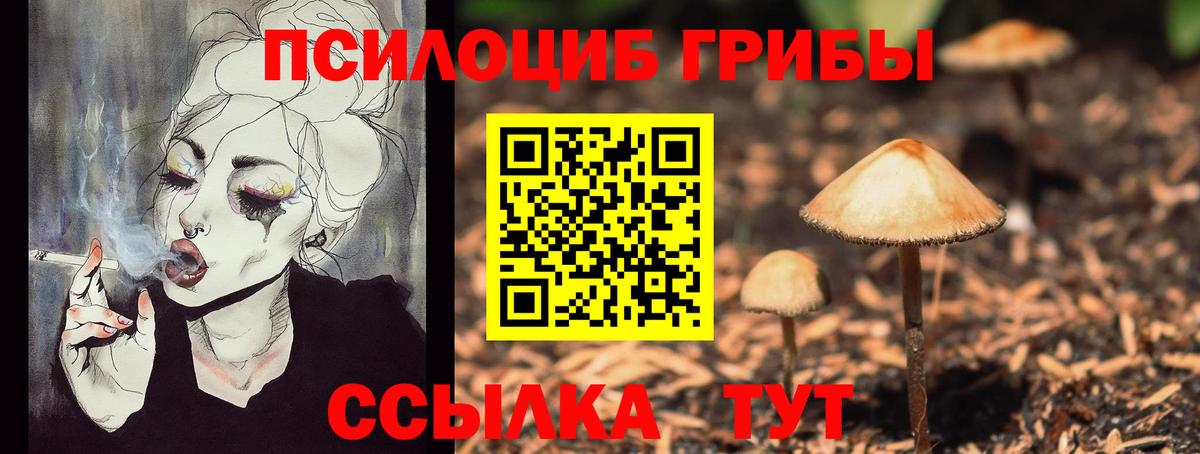 Псилоцибиновые грибы Cubensis Семёнов