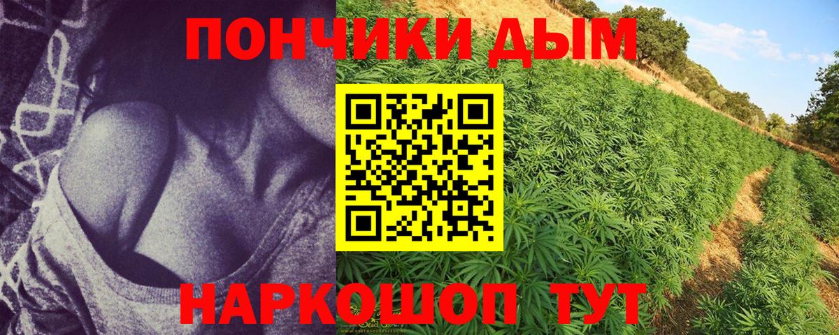Конопля конопля  Вход с VPN  Канабис Bruce Banner  Конопля Bruce Banner  Семёнов 